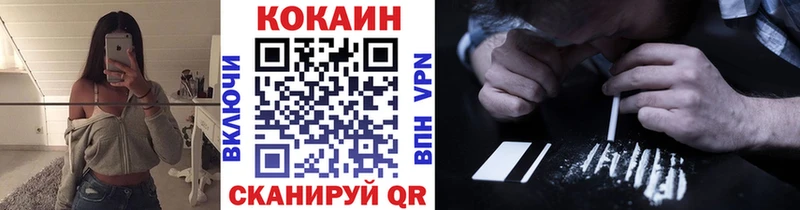 как найти закладки  Курчатов  Cocaine Fish Scale 