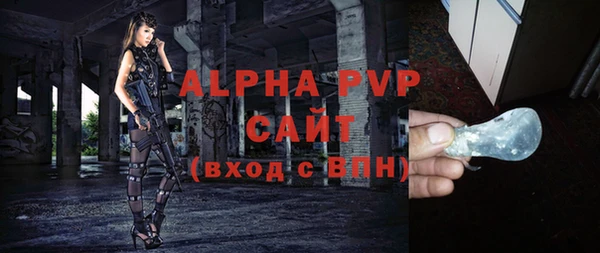 индика Нязепетровск