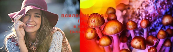 героин Новозыбков