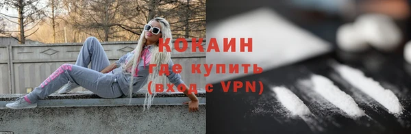 дурь Новодвинск