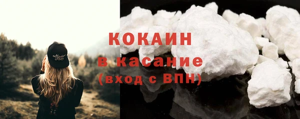 прущие грибы Няндома
