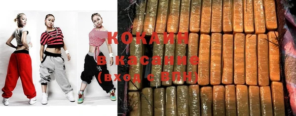 дурь Новодвинск