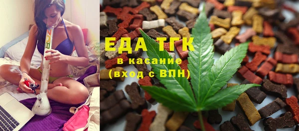 индика Нязепетровск