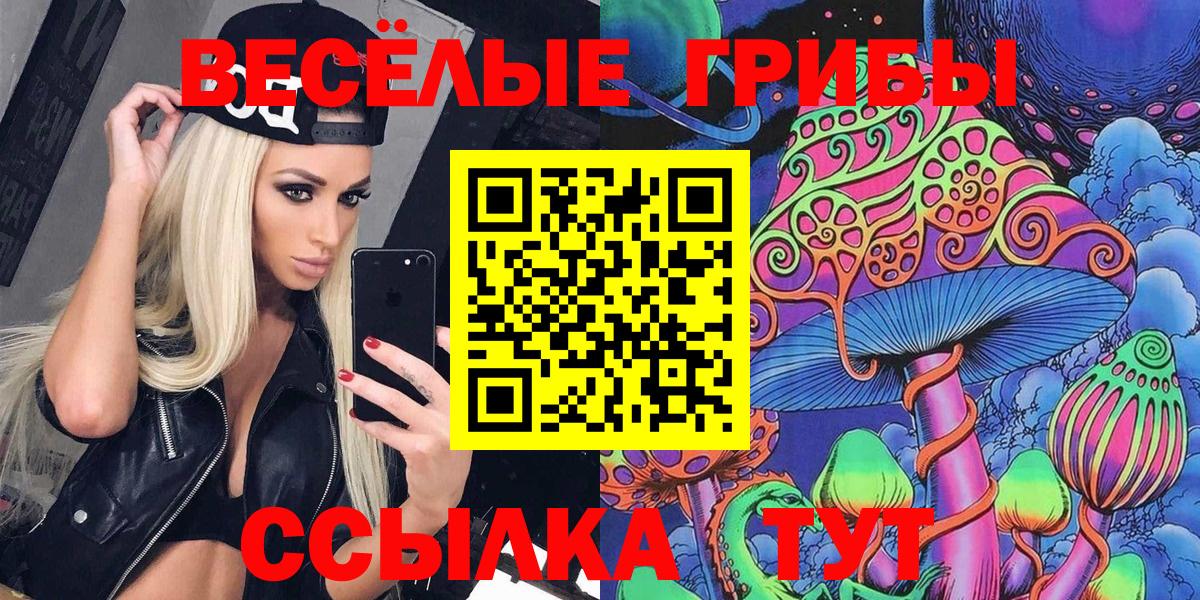 Лсд 25  ГАШ  Вход с VPN  Курчатов  ГАШ  Каннабис  МЕФ  