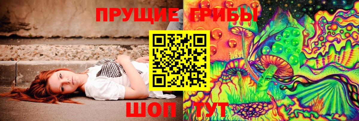 Галлюциногенные грибы мицелий Курчатов